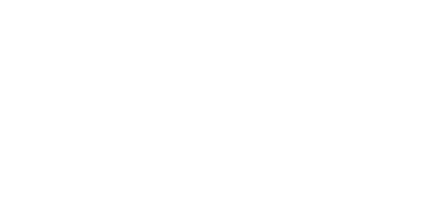 .biz